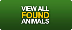 Found Animals