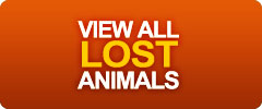 Lost Animals